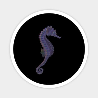 Rainbow Seahorse Magnet